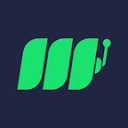 Metaspins site icon